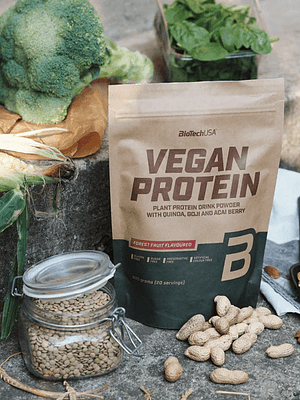 Vegan Protein 500 gr. BiotechUSA