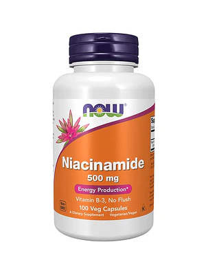 Niacinamide (B-3) 500 mg 100 Capsules Now