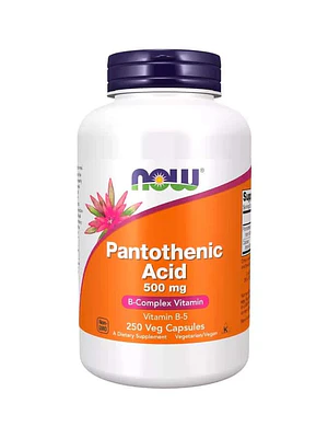 Pantothenic Acid 500 mg 250 Veg Cápsulas Now