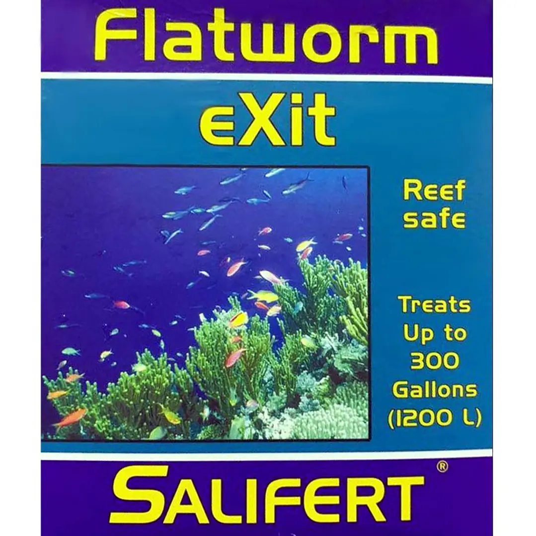 Flatworm Exit 1