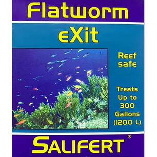 Flatworm Exit
