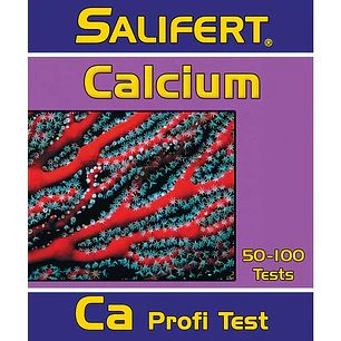 Test Calcio Ca