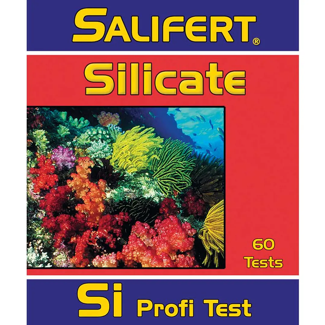 Test Silicato 1