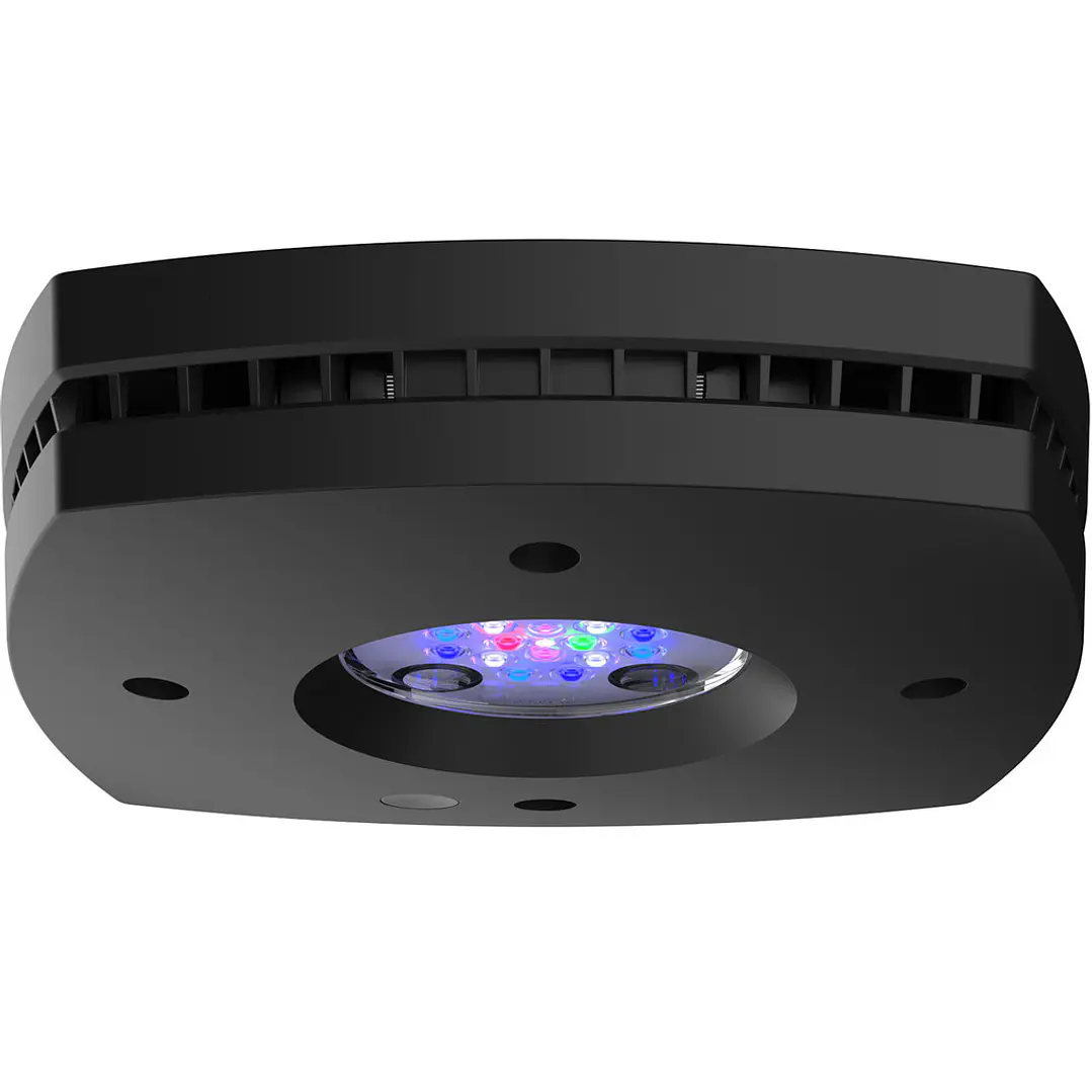 Prime 16HD 1