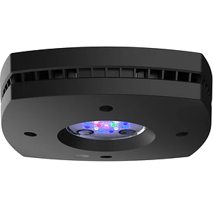 Prime 16HD