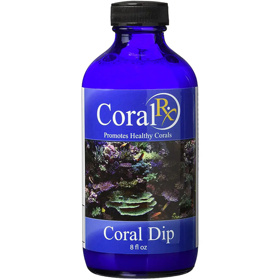 Coral Dip 8oz 1