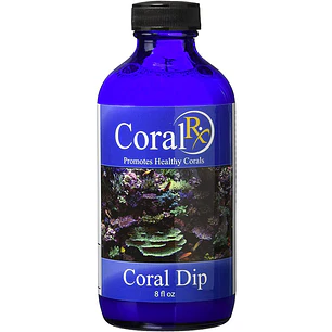 Coral Dip 8oz