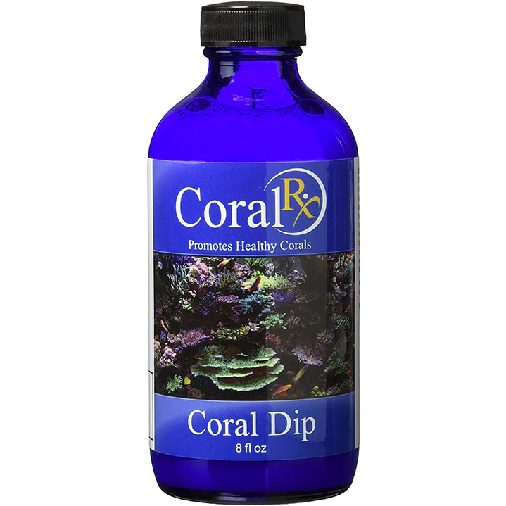 Coral Dip 8oz 1