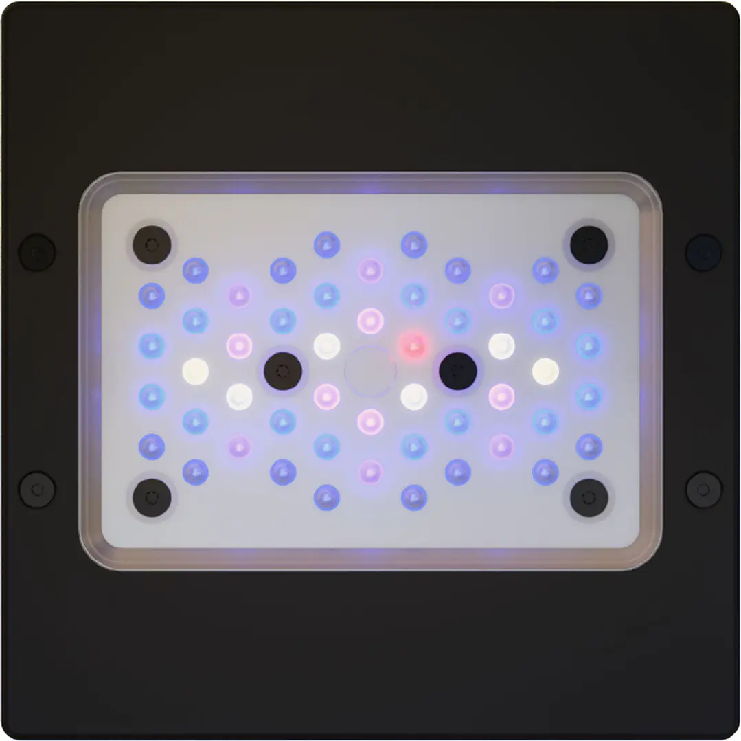 Radion XR15W Blue Gen 6 1