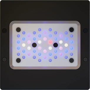 Radion XR15W Blue Gen 6