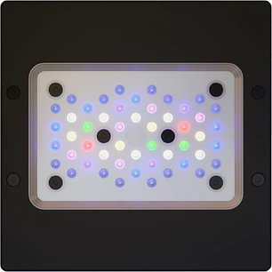 Radion XR15W Pro Gen 6