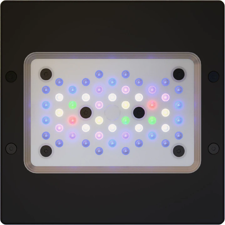 Radion XR15W Pro Gen 6 1