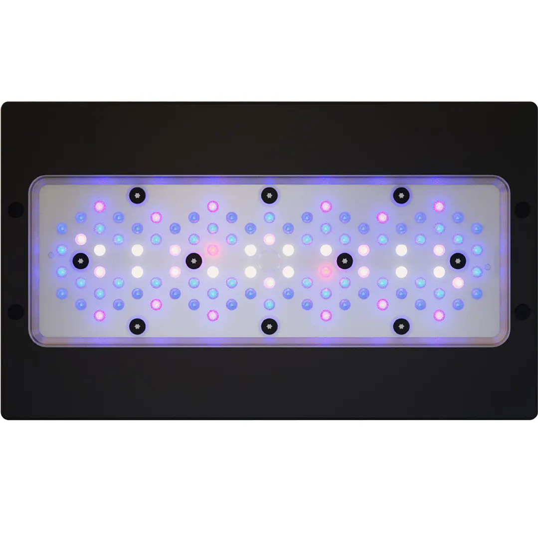 Radion XR30W Blue Gen 6 1