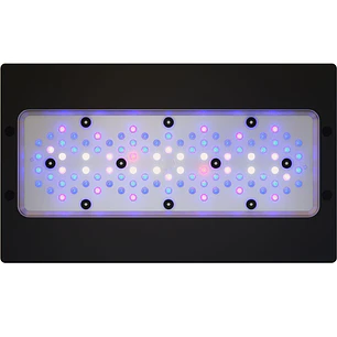 Radion XR30W Blue Gen 6