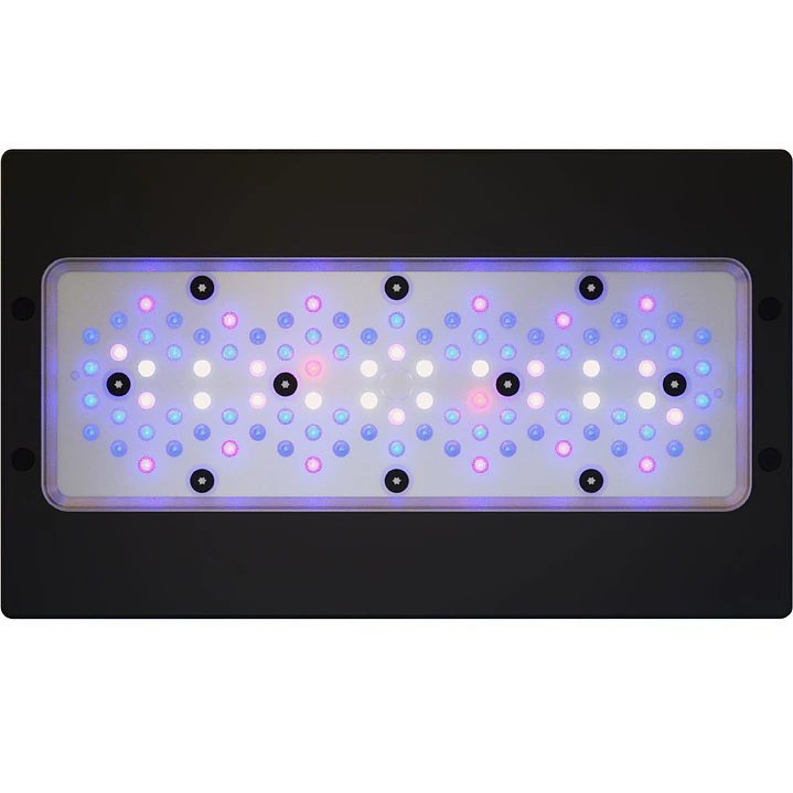Radion XR30W Blue Gen 6 1