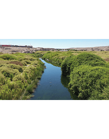 Video Calama aerial Rio Loa 2