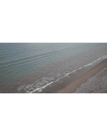 Video Arica 0007 -playa2 sobre el mar