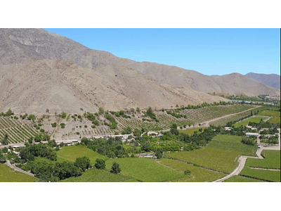 video fields of elqui valley 04