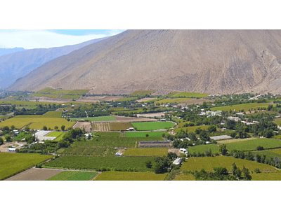video fields of elqui valley 03