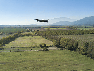 Foto Drone volando sobre campos 01
