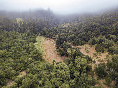 Aerial photo nature Central Chile DJI_0046