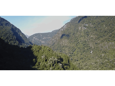 video cochamo # 15 (native forest)