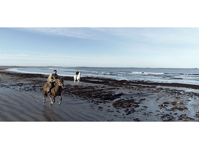 Video Isla Mocha - Gallop on the beach # 01
