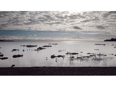 Video Aves en el lago desde frutillar 1