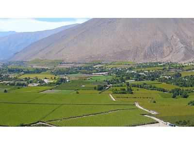 video fields of elqui valley 01