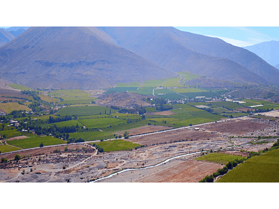 video fields of elqui valley 06