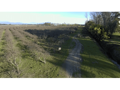 Aerial video Curico fields 014