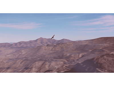video Condor in the mountain range 01