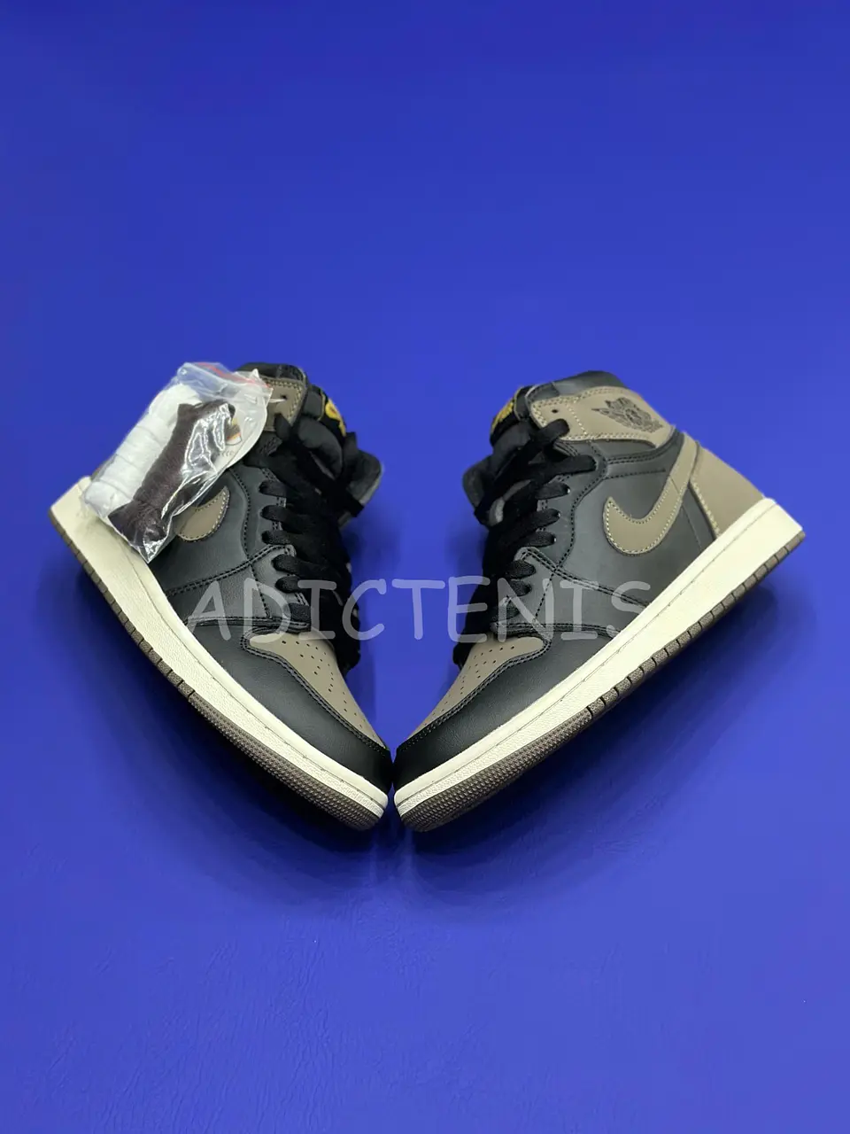 Air Jordan 1 Palomino 2