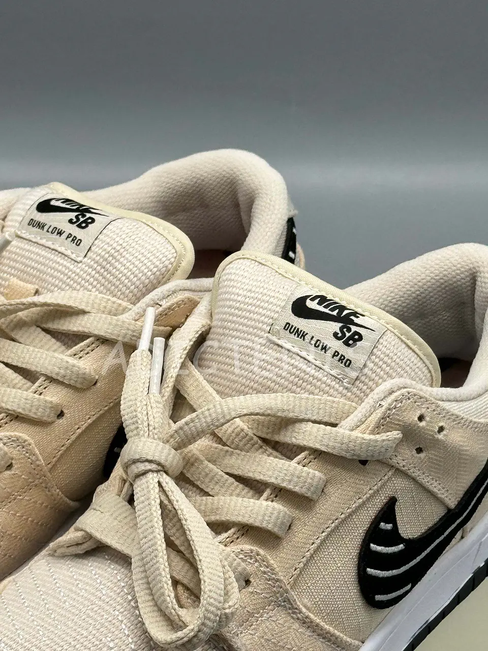 Nike Dunk Low SB [ALBINO & PRETO] 3