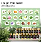 Set 20 Aceites Esenciales 100% Puros Natural Mayjam - Miniatura 3