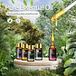 Set 20 Aceites Esenciales 100% Puros Natural Mayjam - Miniatura 5