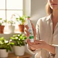 Eucasol Spray De Eucalipto Alergias Resfrios Swiss Just 15 M - Miniatura 4