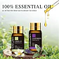 Set 35 Aceites Esenciales 100% Puros Natural Mayjam - Miniatura 5