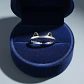 Anillo Ajustable Orejas Gato + Caja Terciopelo Regalo - Miniatura 8