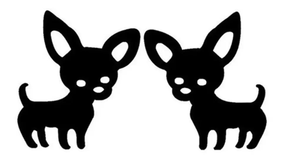Aros Perro Chihuahua Regalo Mujer Niña  + Bolsa Joyas 1