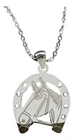 Collar Caballo Herradura Equinoterapia + Caja Regalo Joyas - Miniatura 1