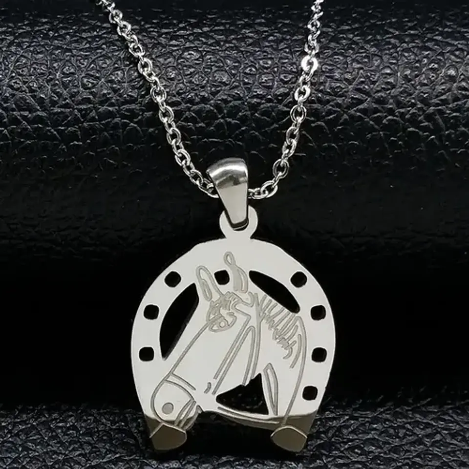 Collar Caballo Herradura Equinoterapia + Caja Regalo Joyas 2