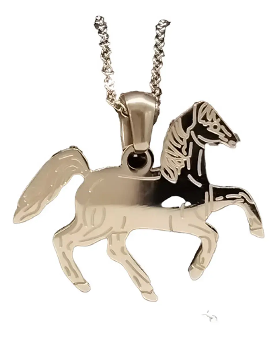 Collar Caballo Herradura Equinoterapia + Caja Regalo Joyas 5