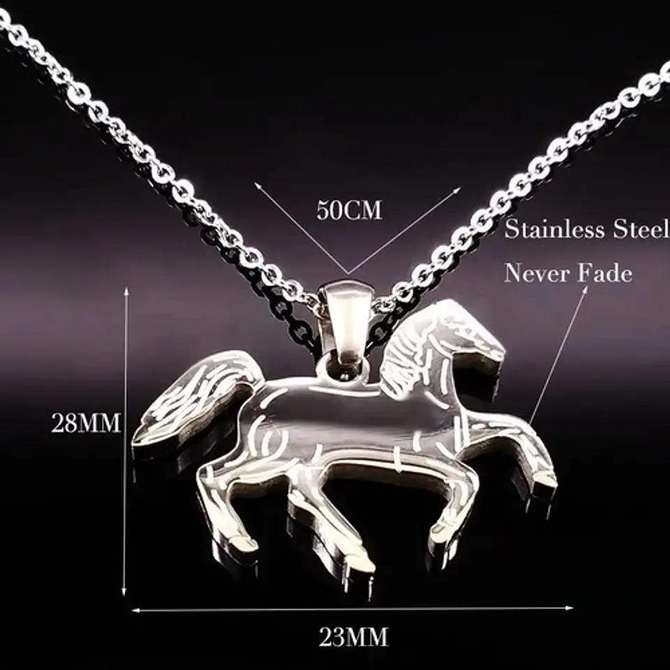 Collar Caballo Herradura Equinoterapia + Caja Regalo Joyas 6