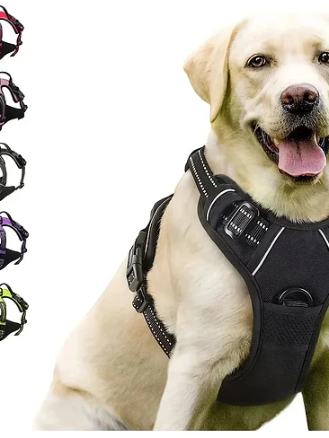 🐕‍🦺 Arnés para Perro Ajustable y Reflectante – Máxima Comodidad y Control 1