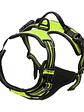 🐕‍🦺 Arnés para Perro Ajustable y Reflectante – Máxima Comodidad y Control - Miniatura 8