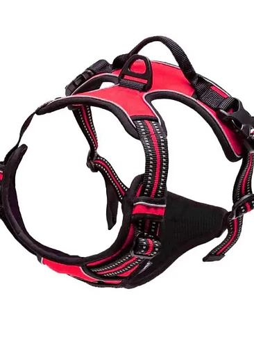 🐕‍🦺 Arnés para Perro Ajustable y Reflectante – Máxima Comodidad y Control 9