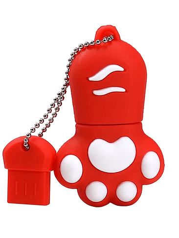 JASTER - Memoria USB Kawai Patita / con llavero Variedad de Colores 9