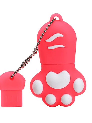 JASTER - Memoria USB Kawai Patita / con llavero Variedad de Colores 12