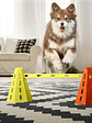 🐶 Set de Entrenamiento Agility para Perros🐶  - Miniatura 2